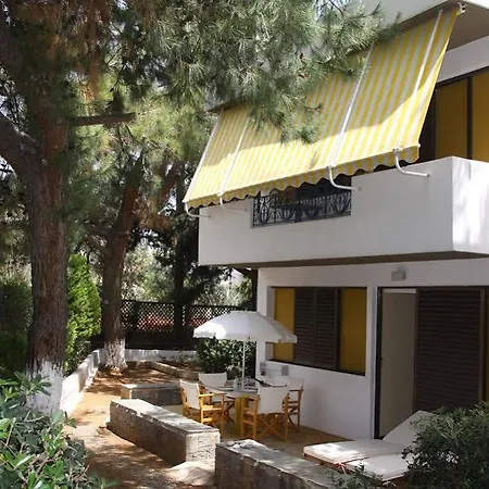 Creta Solaris